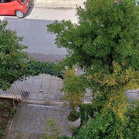 Savvas Lejlighedshotel Olympiakí Aktí Eksteriør billede